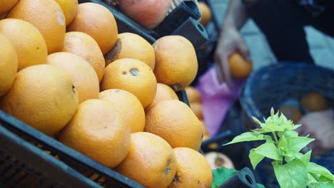 a vendor selling fresh oranges at a market