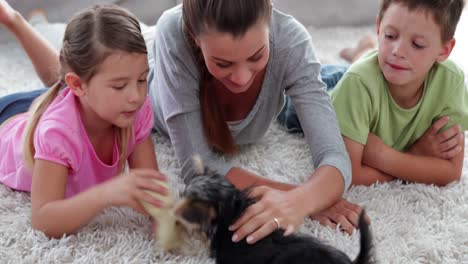 Cute-siblings-playing-with-puppy-with-their-mother-on-the-rug