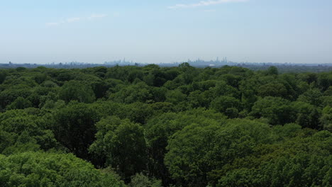 an aerial view above green tree tops in a park on a sunny day