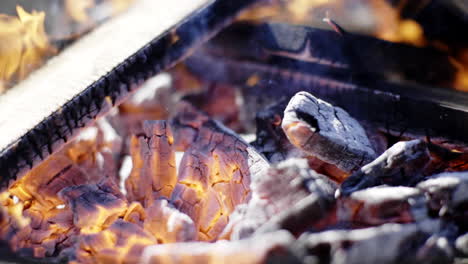 fuego de campamento
