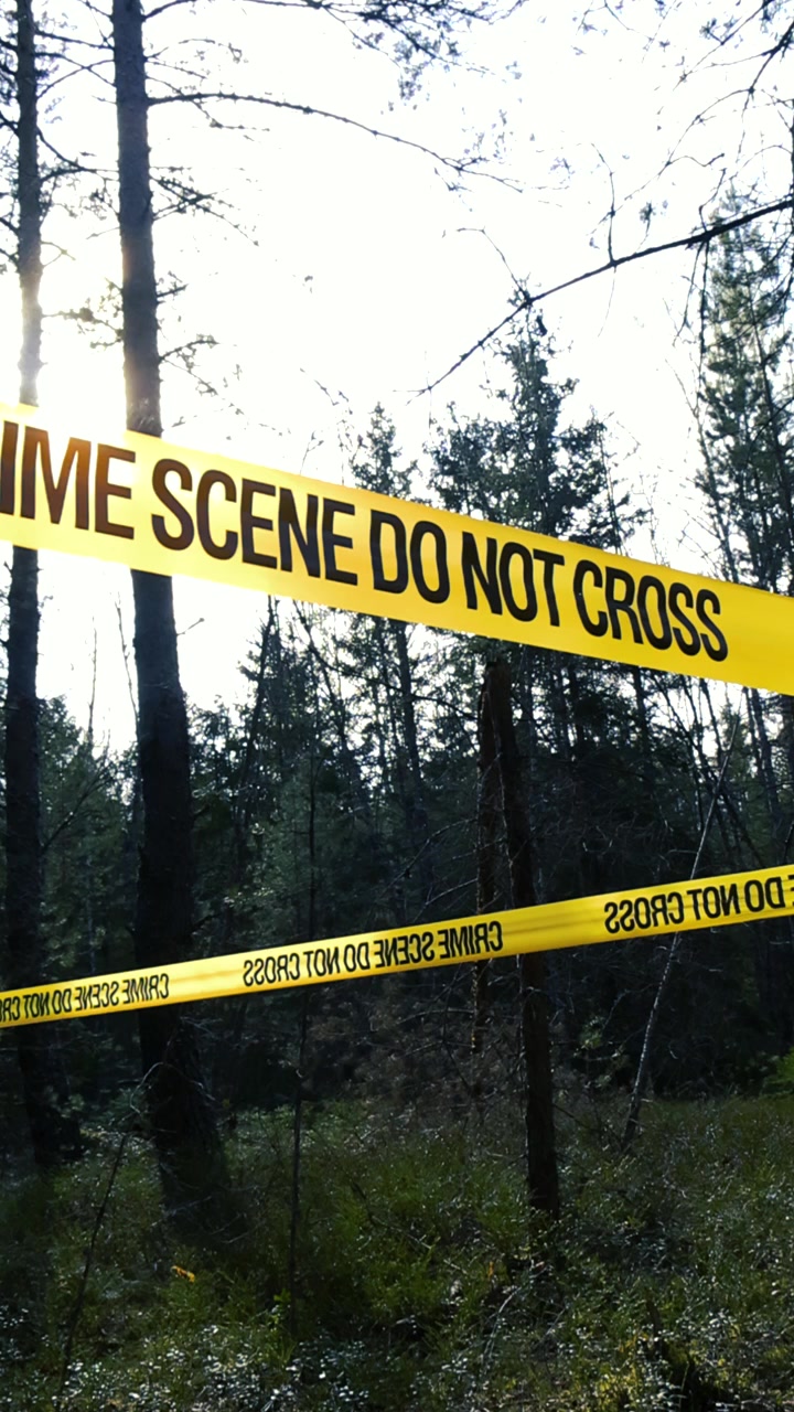 Bright yellow police tape reading Crime Scene Do Not Cross stretched between pine trees in a dense forest, cordoning off an investigation area while the sun shines through the canopy