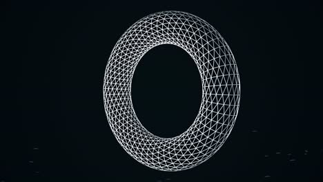 abstract wireframe torus