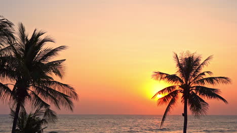 Una-Espectacular-Puesta-De-Sol-De-Color-Rojo-Fuego-Y-Naranja-Detrás-De-Una-Palmera-De-Coco-Arrastrada-Por-El-Viento