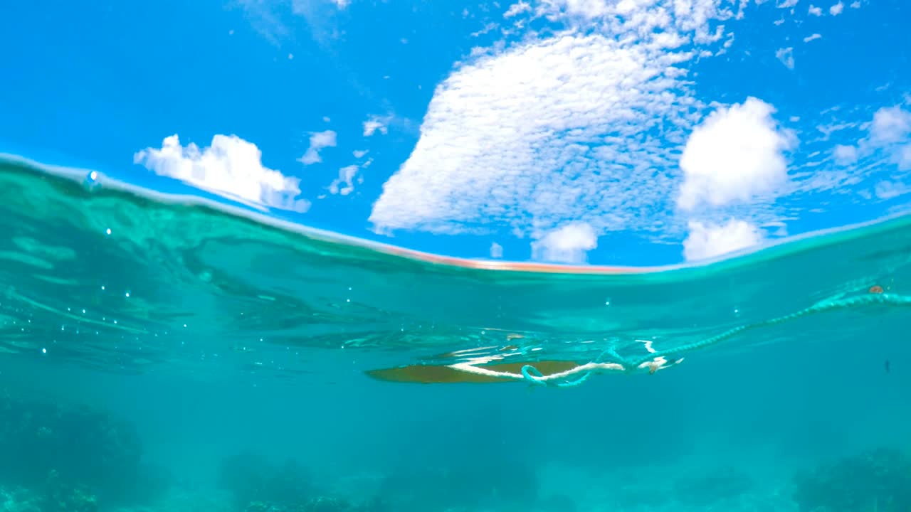 Life saving buoy in the water
