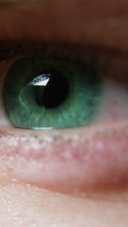 primer plano del ojo humano