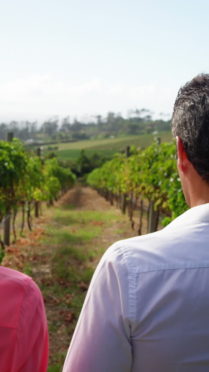 Rear view of couple holding hands and walking