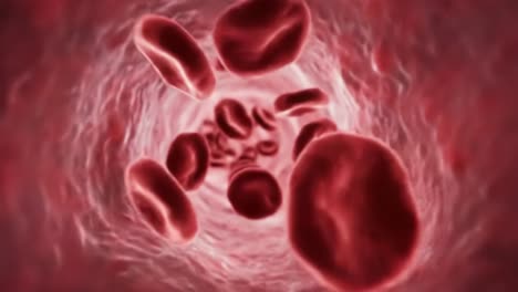 exploring the intricate pathways of human circulation: a captivating visual journey through the veins and arteries of the body