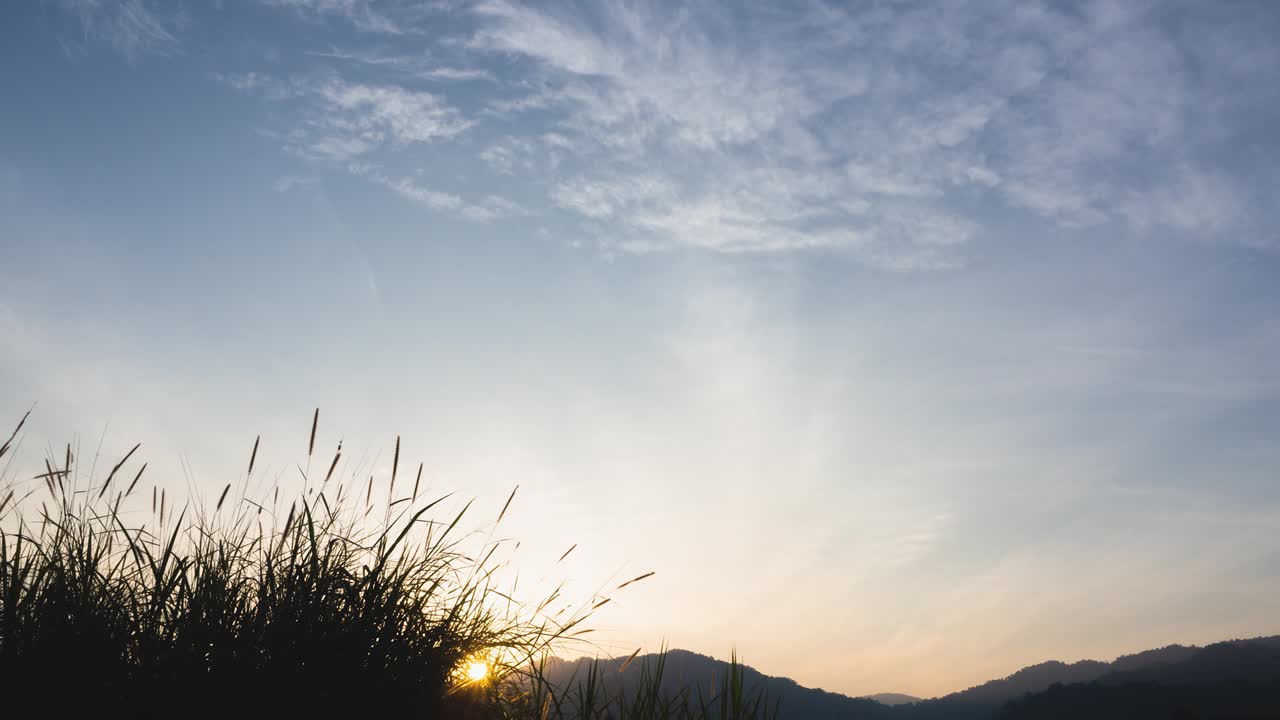 푸른 하늘 위에 빛나는 빛, 해가 뜨는 풍경, 자연의 배경, 은 높은 대기 속에서 서서히 움직이는  구름, 황금빛, 빛이 아름다운 꽃을 통해 빛나는, 구름 풍경.