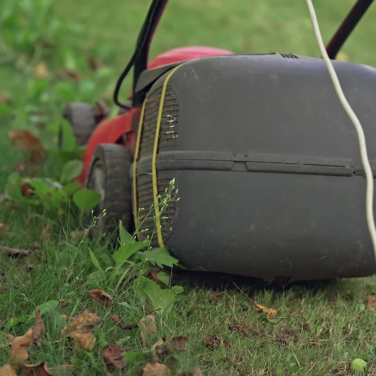 Gardening with lawn mower