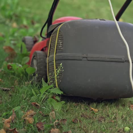 gardening with lawn mower