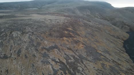 Spectacular-drone-footage-unveils-hundreds-of-people-trekking-in-unison-on-a-vast,-rugged-mountainside,-highlighting-the-grandeur-of-communal-exploration