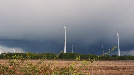 wind generators. clean energy winds turbine.