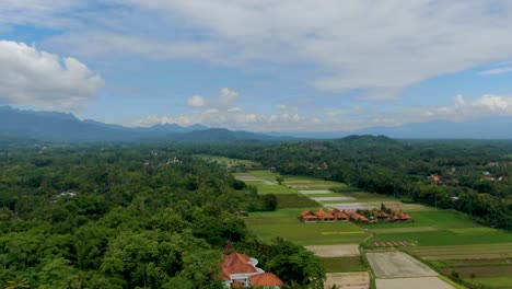 Campos-De-Arroz-Y-Bosques-En-Mutilan,-Java-Central,-Indonesia