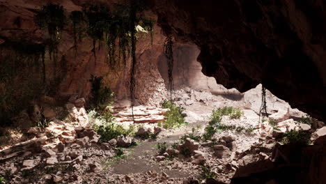 view from inside a dark cave with green plants and light on the exit