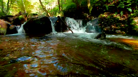 slow motion video of peaceful creek in a wooded setting