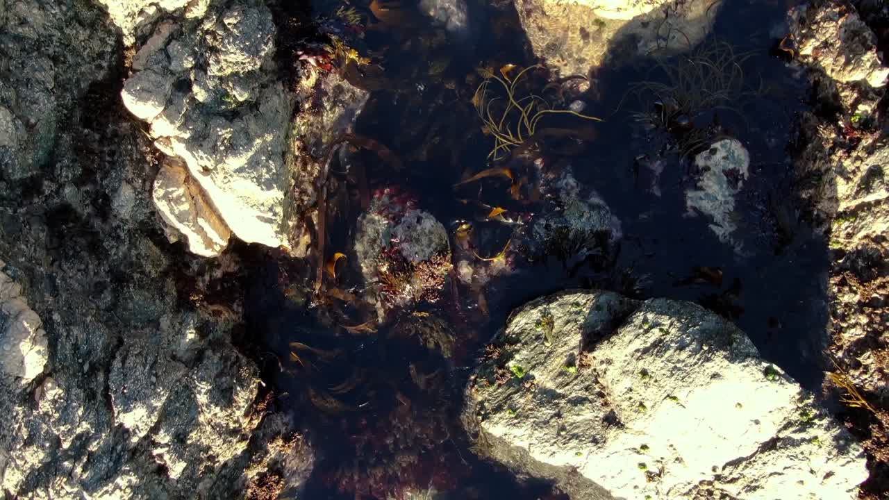 Aerial overhead closeup view of natural shallow rock pool with flowing seaweeds at low tide