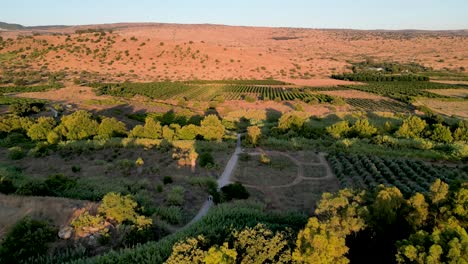 4k high resolution drone video of the banias- hermon river resort in northern israel during the summer months- israel