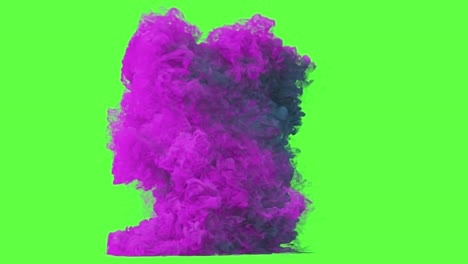 purple ink explosion on green screen