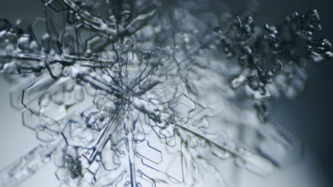 dendrita estelar de cristal de hielo de copo de nieve bajo el microscopio