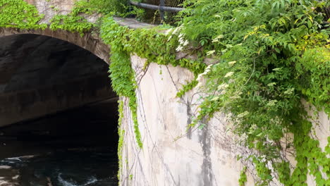 tilt-up reveal of american flag waving at nature park above river in chagrin falls, ohio