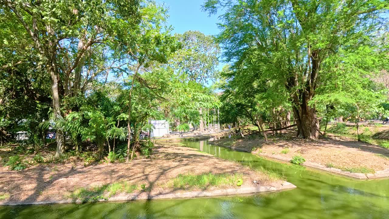 Lush greenery and serene pathways at Khao Kheow Open Zoo, Chonburi. Bright daylight enhances the vibrant natural surroundings