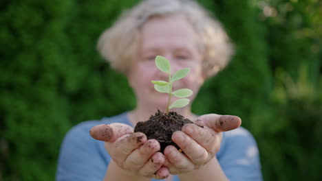 una mujer anciana sostiene la planta joven en sus manos - un concepto de preservación de la naturaleza disparo medio