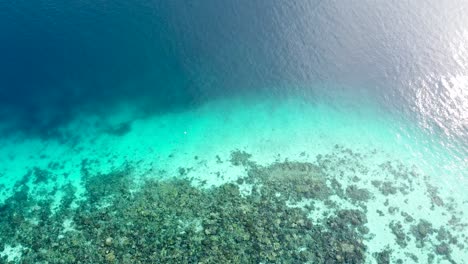 Static-aerial-of-amazing-coral-reef-and-blue-green-ocean-on-the-coral-triangle-in-Timor-Leste,-South-East-Asia