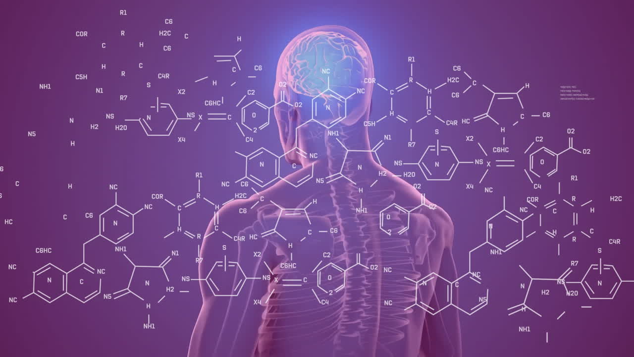 Animação de cérebro humano e processamento de dados científicos