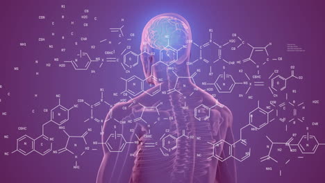 animación del cerebro humano y procesamiento de datos científicos.
