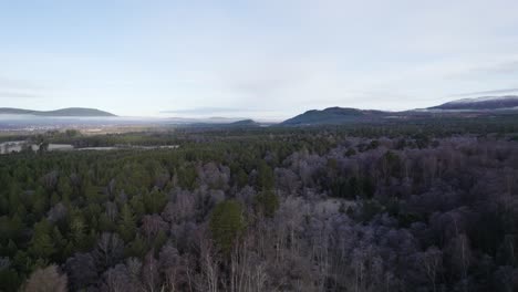 Aerial-drone-footage-reversing-to-reveal-a-frozen-forest-of-birch-and-pine-trees-on-Rothiemurchus-estate-facing-towards-Aviemore-and-snow-covered-mountains-in-the-Cairngorms-National-Park-in-winter