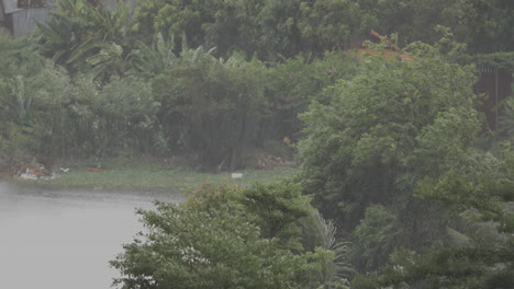 Tropischer-Regen-Am-Nachmittag-In-Südostasien