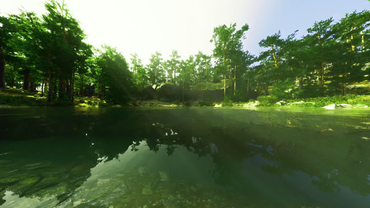 Serene natural landscape with water reflections in a forest setting