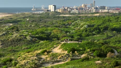 coastal dunes overlooking dutch city