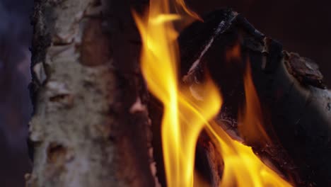 Burning-Logs-Slow-Motion-4K-14