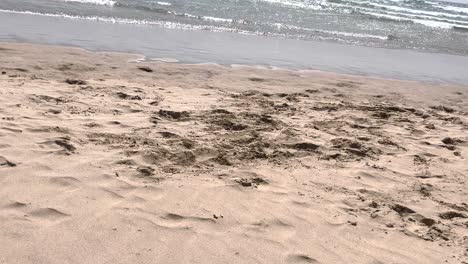 Padre-E-Hijo-Jugando-Al-Fútbol,-Diversión-Familiar-Al-Aire-Libre-Jugadores-De-Fútbol-En-Acción-Dinámica-Se-Divierten-Jugando-Al-Fútbol-En-La-Playa,-Día-De-Verano-Bajo-La-Luz-Del-Sol