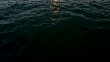 dark water surface with reflections