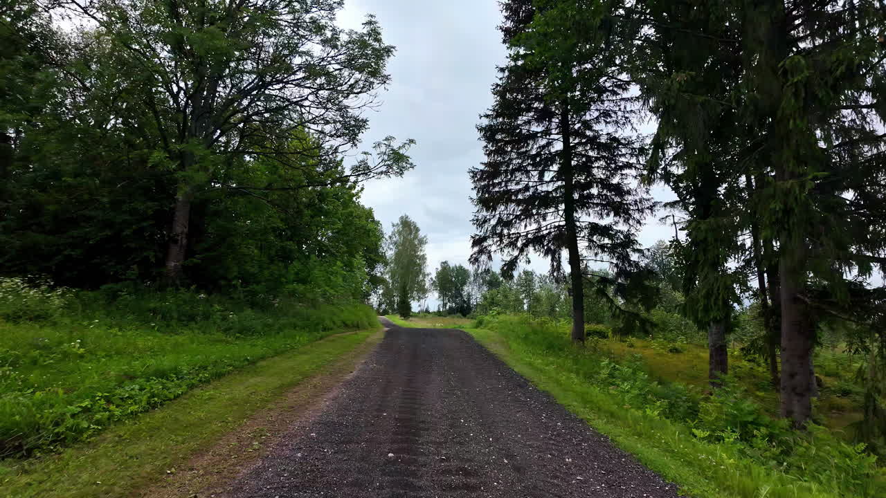 Gravel road through a lush green forest