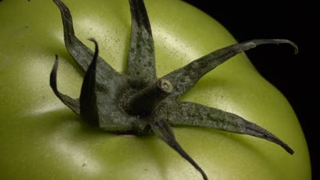 tomate verde en rotación sobre un fondo negro.