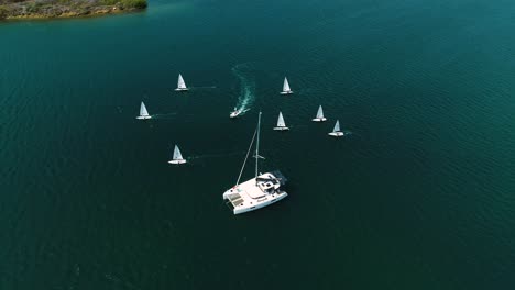 Los-Veleros-Sunfish-En-Aguas-Españolas-Practican-La-Navegación-En-Las-Hermosas-Aguas-Del-Caribe.