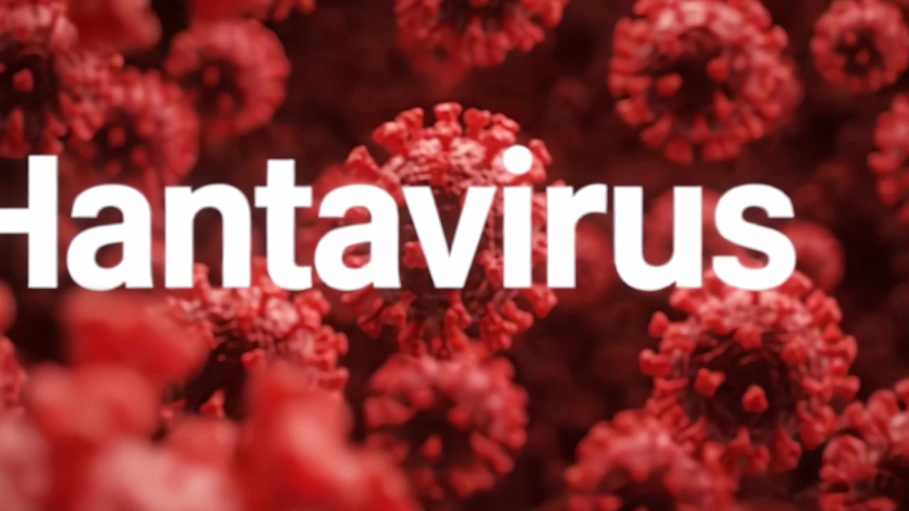 Close-up Visualization of Viral Particles Highlighting Antiviral Strategies Against Emerging Infectious Diseases Represented by Microscopic Views of Pathogenic Forms