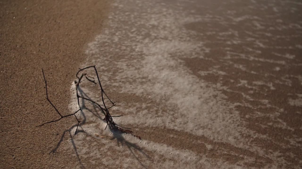 Small twigs with wave and sand. 120fps slow motion. Yogyakarta beach sea, Indonesia.