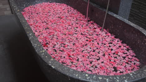 pink flower petals in a stone bath tub
