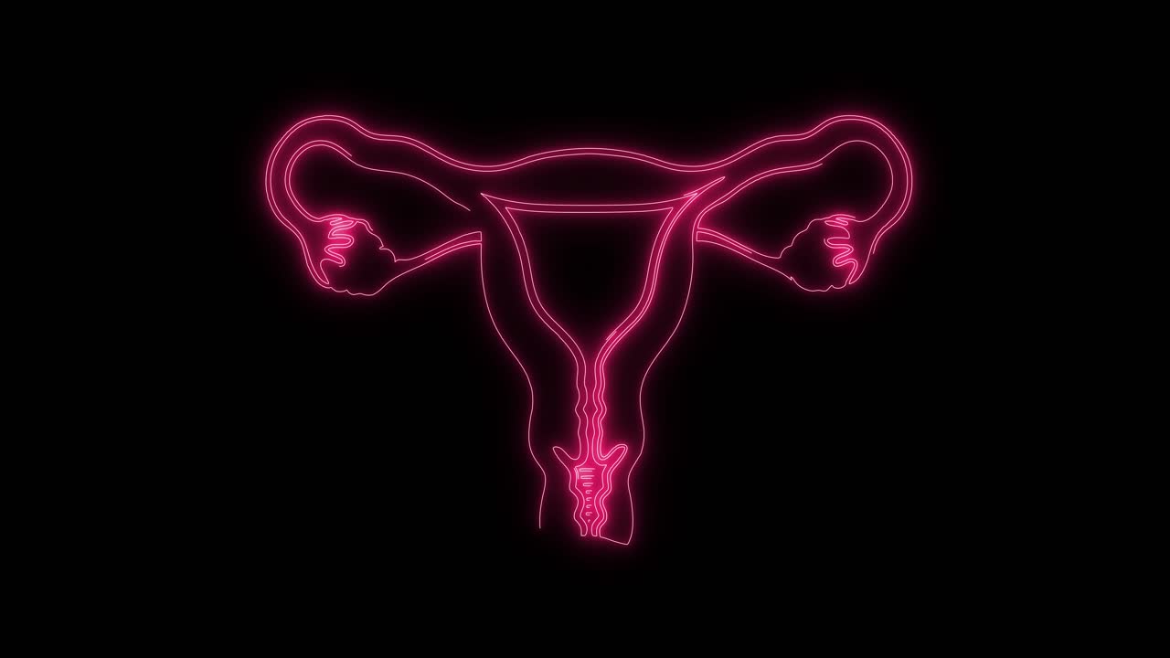 Animazione disegnata del sistema riproduttivo femminile rosa neon