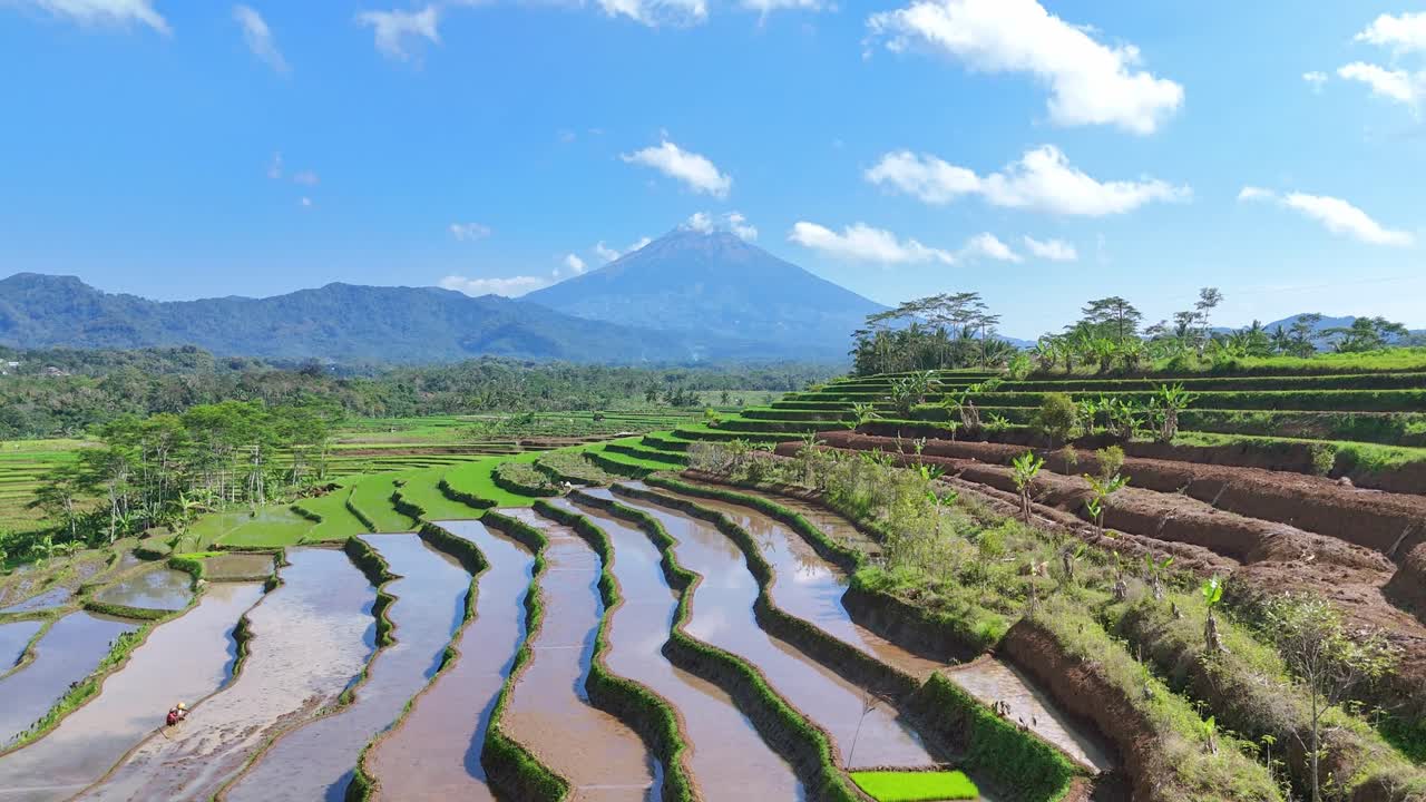 Drone fly over watery terraced rice field with mountain background. The view of the sky is seen reflected by the water surface. Beautiful scenery of rice field and mountain. Indonesia