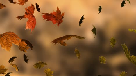 Animation-of-leaves-icons-over-blurred-background