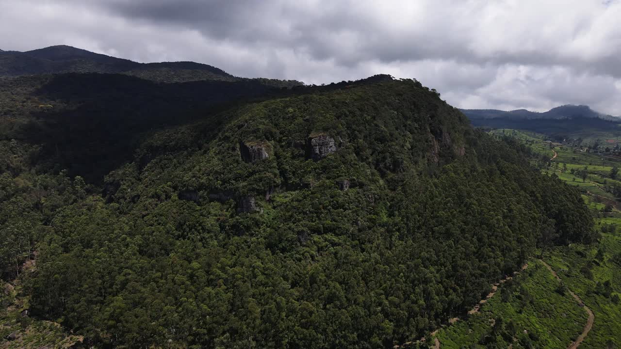 alta montaña completamente cubierta de árboles verdes en un denso bosque mientras una gran sombra se mueve lentamente en el paisaje montañoso de nuwara eliya en sri lanka en un día nublado