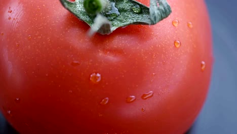 grocery video vegetable background tomato