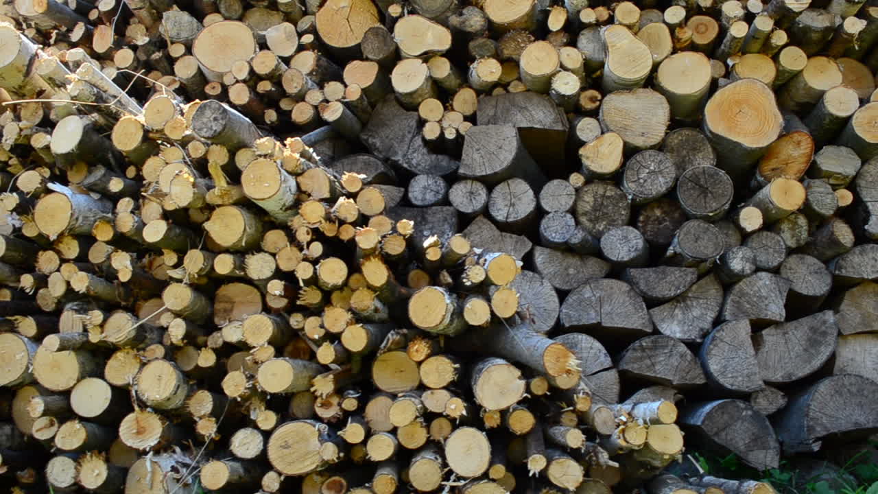 Firewood in the yard. Shooting in the village