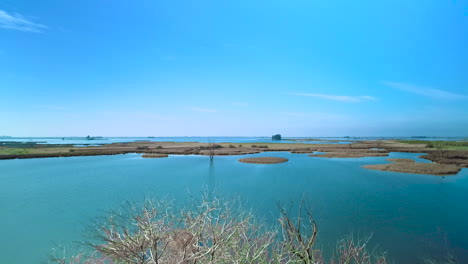 Aerial-shot-lowering-from-still-lake-with-patches-of-land-to-reveal-a-dead-tree-habitat-at-water's-edge