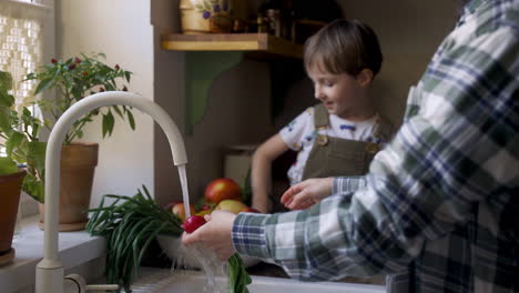 side view of caucasian woman washing vegetables and fruits in the sink. her son helps to her